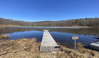 L21.1 Alder Pond Road, Andes, NY 13740