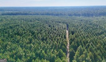 Penny Morris Road, Baxley, GA 31513