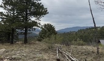 Mockingbird Trail, Bailey, CO 80421