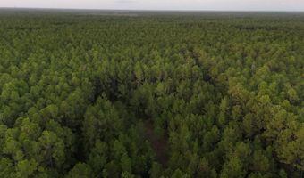 Lower Bay Road, Bay St. Louis, MS 39520