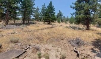 40 Acres Off 36N06, Adin, CA 96006