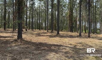 Ronald Sanks Road, Bay Minette, AL 36507