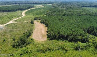Ms-25, Brandon, MS 39047