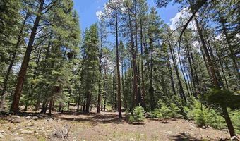 37 Enchanted Forest Dr, Bayfield, CO 81122