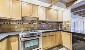 651 S Monarch St 104, Aspen, CO 81611