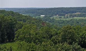 71 8 Klondike Rd, Anderson, MO 64831