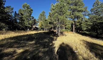 1290 Torrey Pines Ln, Angel Fire, NM 87710