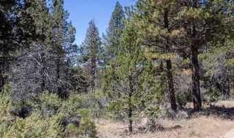 Panther Lane Lot 6, Bonanza, OR 97623
