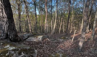 140 Lakeview Walk, Baldwin, GA 30511