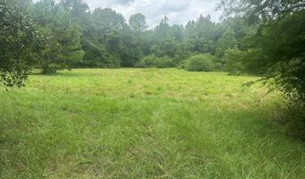27050 County Road 70, Andalusia, AL 36421