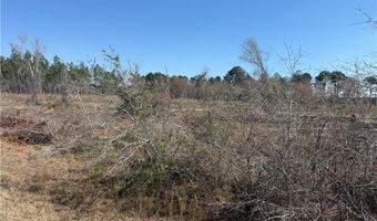0 35.01 Acres Bacon School Rd, Alma, GA 31510