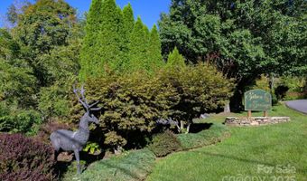 Silver Fox Lane lot 27, Banner Elk, NC 28604