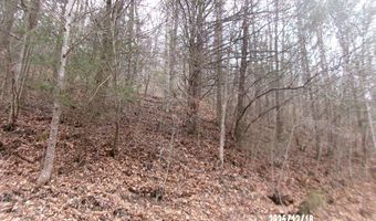 3675 Anawalt Ridge Rd, Anawalt, WV 24808