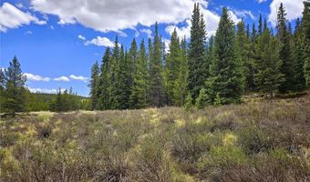 PCS # 10594 Looney Lane lot 0, Alma, CO 80420