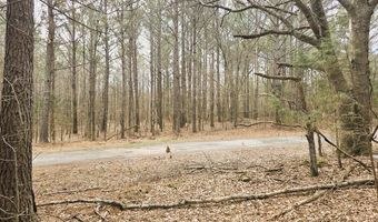 Zig Zag, Big Sandy, TN 38221