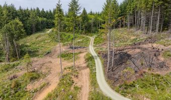 54431 Morrison Rd, Bandon, OR 97411
