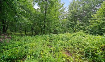 Lt3 County Road N, Arkansaw, WI 54721