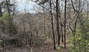 Highway 105, Baldwin, GA 30511