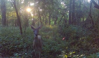 Williams Street, Brookhaven, MS 39601