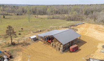1896 PURDY BEAUTY HILL Rd, Bethel Springs, TN 38315