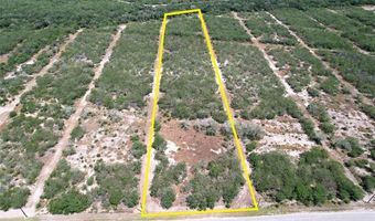 195 CR 1461 Lot 8, Alice, TX 78332