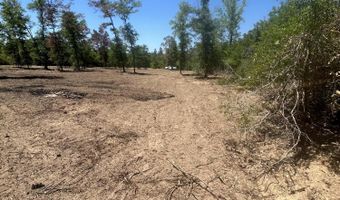 Empire Avenue, Alford, FL 32420