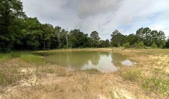 618 CR 2619, Alto, TX 75925