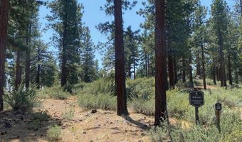 245 Redding Way 226, Carson City, NV 89705