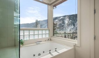 40 Mountain Laurel Ln, Aspen, CO 81611