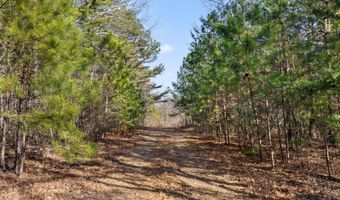 343 Co Rd 814, Flat Rock, AL 35966