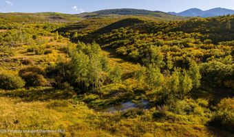 1350 Old Herron Rd, Basalt, CO 81621