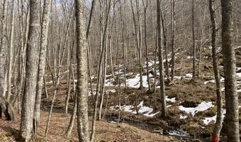 0 TBD Elleber Sods Rd, Bartow, WV 24920