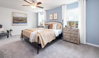13109 Bristlehead Way, Charlotte, NC 28215