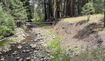 Cedar Way, Alturas, CA 96101