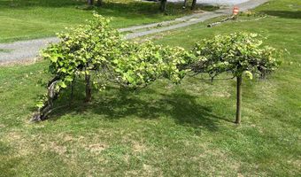 131 Lansworth Dr, Austinville, VA 24312