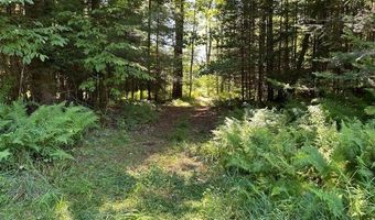 River Road 3, Bath, NH 03740