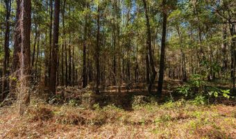 Tbd N COUNTY RD 1491, Alachua, FL 32615