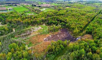 Beaver Road, Alexander, NY 14005