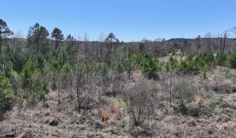 761 Richardson, Amity, AR 71921