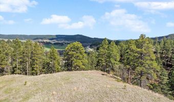 Tract 5 Lone Elk Ranch, Alva, WY 82711