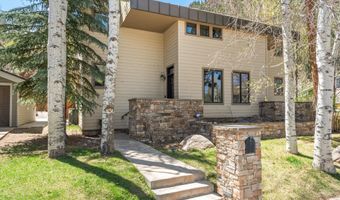 121 W Hyman Ave B, Aspen, CO 81611