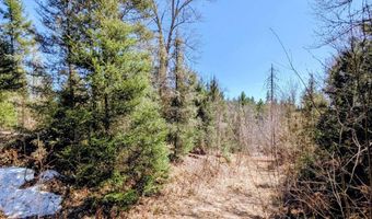 8 Acres E Cable Lake Rd, Amasa, MI 49903