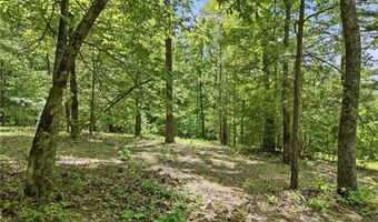 1709 Harrington Rd, Ball Ground, GA 30107
