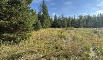 5280 Cathro Rd, Alpena, MI 49707