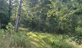 County Road P-305, Ava, MO 65608