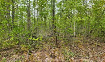 Valleyridge Circle, Alba, MI 49611