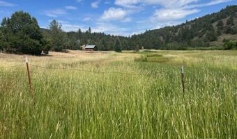 680-550 Butte Creek Rd, Adin, CA 96006