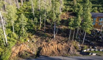 1037 Snow Crest Rd, Alpine Meadows, CA 96146