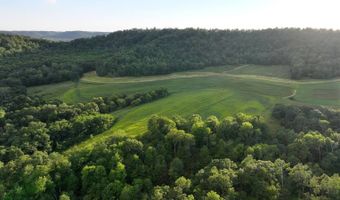 TBD Bear Pen Rd, Arkansaw, WI 54721