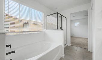 3767 N 100TH Dr, Avondale, AZ 85392